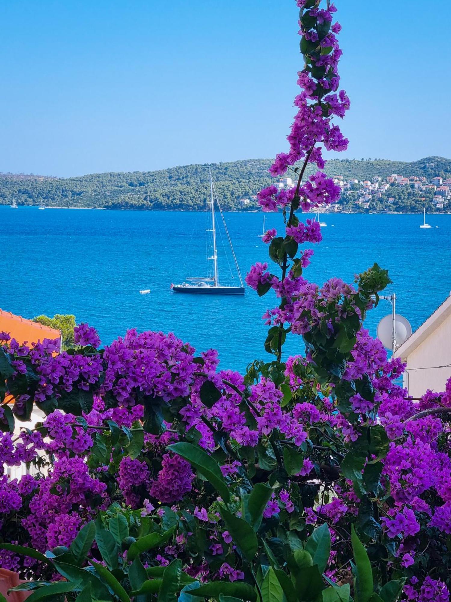 Ana Trogir