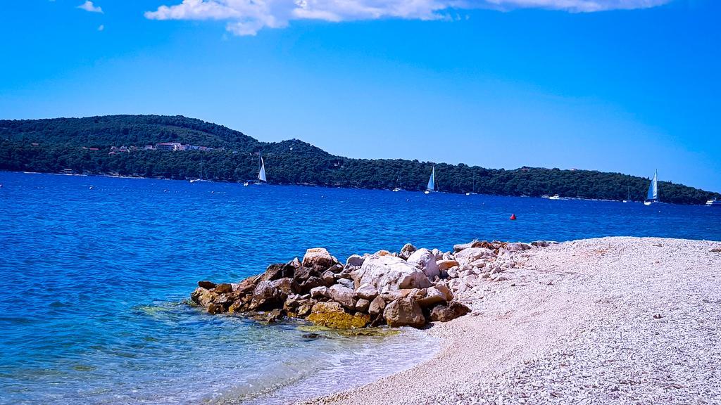 Ana Trogir