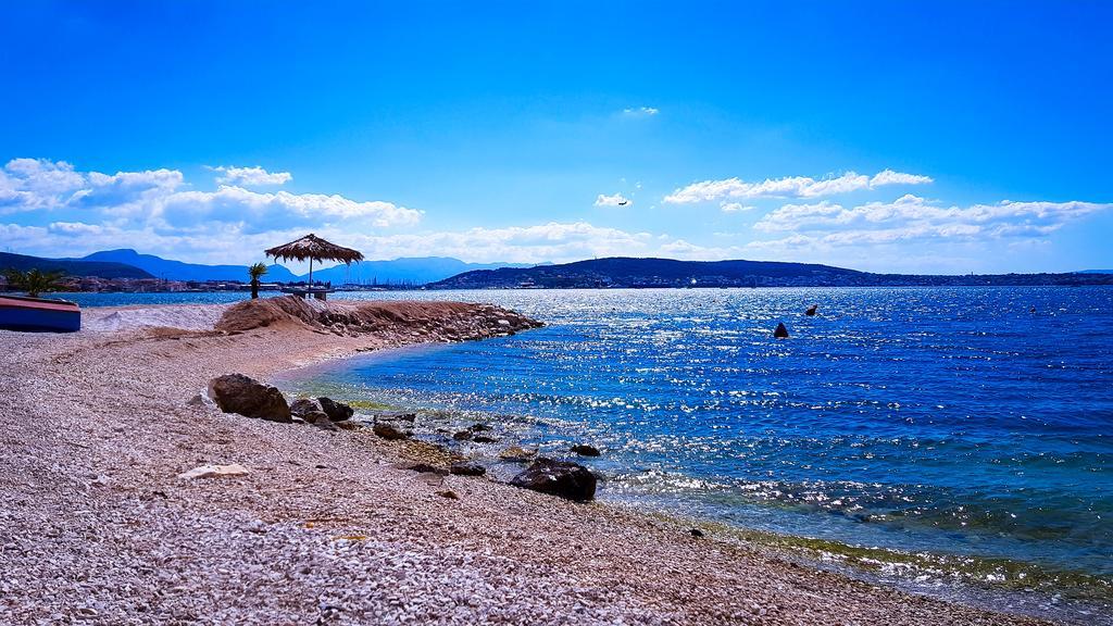 Ana Trogir
